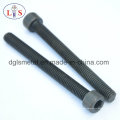 Tornillo de cabeza hexagonal Allen Head